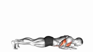 Read more about the article Forearm Push-Up