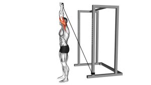 Read more about the article Band Overhead Single-Arm Triceps Extension