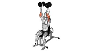 Read more about the article Seated Dumbbell Overhead Triceps Extension