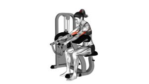 Read more about the article Lever Triceps Extension