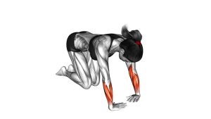 Read more about the article Wrist Ulnar Deviator and Flexor Stretch