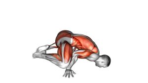 Read more about the article Frog Planche