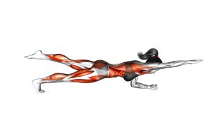 Read more about the article Front Plank with Arm and Leg Lift