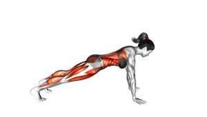 Read more about the article Front Plank with Arm and Leg Lift