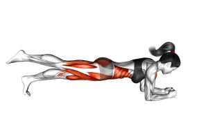 Read more about the article Front Plank with Leg Lift