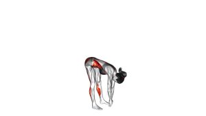 Read more about the article Front Toe Touching