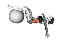 Read more about the article Bent-Knee Lying Twist on Stability Ball