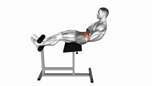 Read more about the article Glute-Ham Developer Crunch