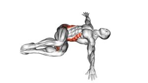 Read more about the article Half Wipers (Bent-Leg)