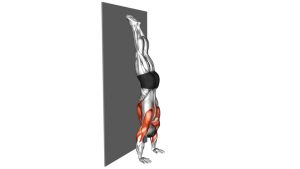 Read more about the article Handstand Against the Wall