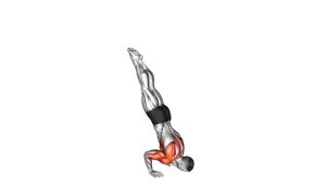 Read more about the article Handstand Push-Up