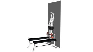 Read more about the article Wall-Assisted Handstand Shoulder Press Between Benches