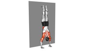 Read more about the article Handstand Shoulder Tap Against the Wall