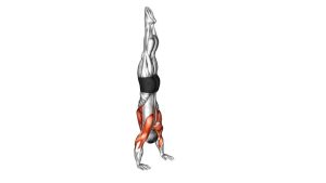 Read more about the article Handstand Walk