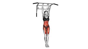 Read more about the article Hanging Oblique Knee Raise
