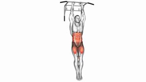 Read more about the article Hanging Oblique Knee Raise