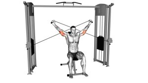Read more about the article Seated Cable Overhead Triceps Extension