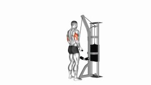 Read more about the article Reverse-Grip Cable Triceps Pushdown (SZ Bar)