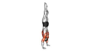 Read more about the article Handstand