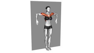 Read more about the article Internal and External Shoulder Rotation Against Wall