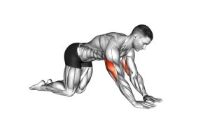 Read more about the article Bodyweight Kneeling Triceps Extension