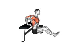 Read more about the article Dumbbell Bench Dip