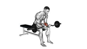Read more about the article EZ-Bar Seated Wrist Curl