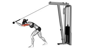 Read more about the article Cable High Pulley Overhead Triceps Extension