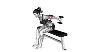 Read more about the article Dumbbell Seated Kickback
