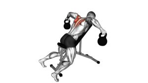 Read more about the article Kettlebell Reverse Fly