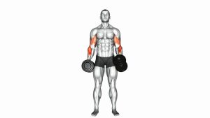 Read more about the article Dumbbell Cross-Body Hammer Curl