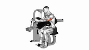 Read more about the article Lever Triceps Extension