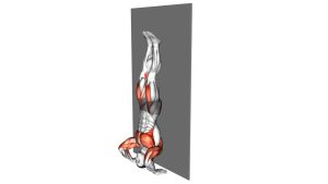 Read more about the article Kipping Handstand Push-Up