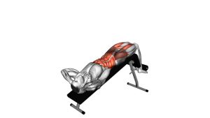 Read more about the article Incline Twisting Sit-Up