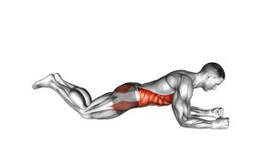 Read more about the article Kneeling Plank
