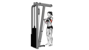 Read more about the article Cable Standing Reverse-Grip Curl (Straight Bar)