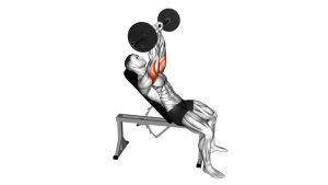 Read more about the article Incline Barbell Triceps Extension (Skull Crusher)