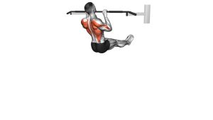 Read more about the article L-Sit Pull-Up
