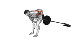 Read more about the article Landmine One-Arm Bent-Over Row