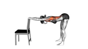 Read more about the article Lat Stretch with Chair
