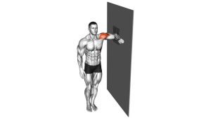 Read more about the article Wall Lateral Raise with Towel