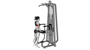 Read more about the article Lever-Assisted Triceps Pushdown