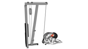 Read more about the article Cable Kneeling Crunch