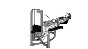Read more about the article Lever Back Extension