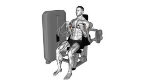 Read more about the article Lever Biceps Curl