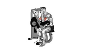Read more about the article Lever Hammer Grip Preacher Curl