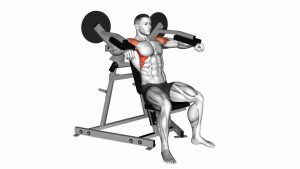 Read more about the article Lever Lateral Raise