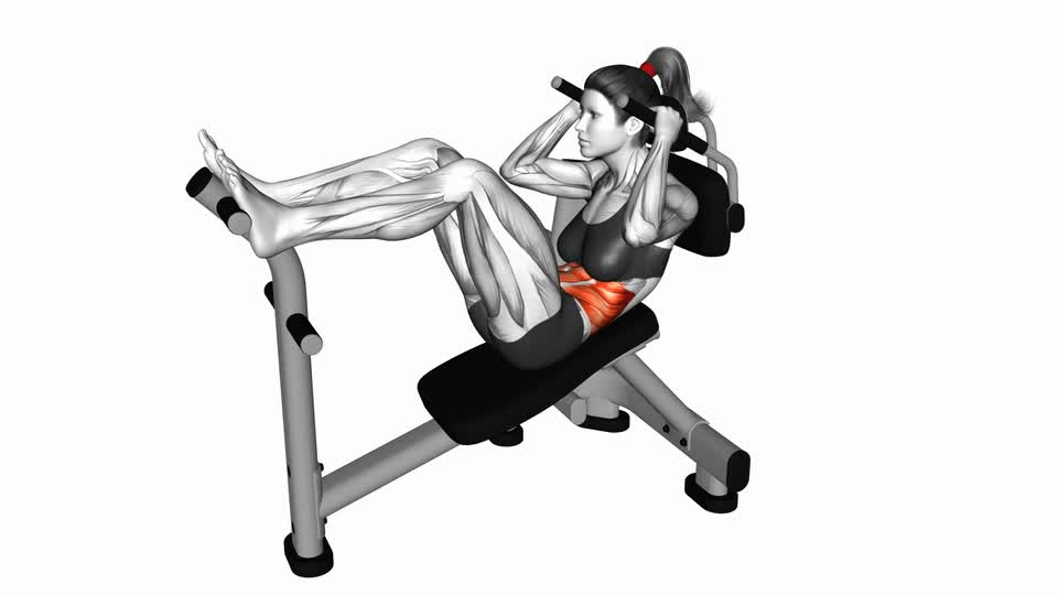 Mp Crunch Lever Lying Crunch - ManiacMuscle