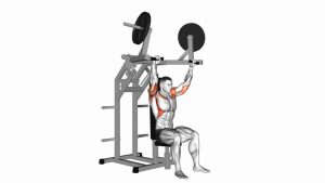 Read more about the article Lever Military Press