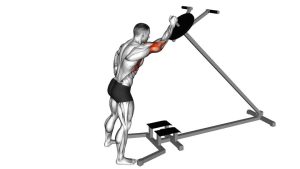 Read more about the article Lever One-Arm Shoulder Press